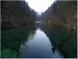 Divje jezero - Vojsko